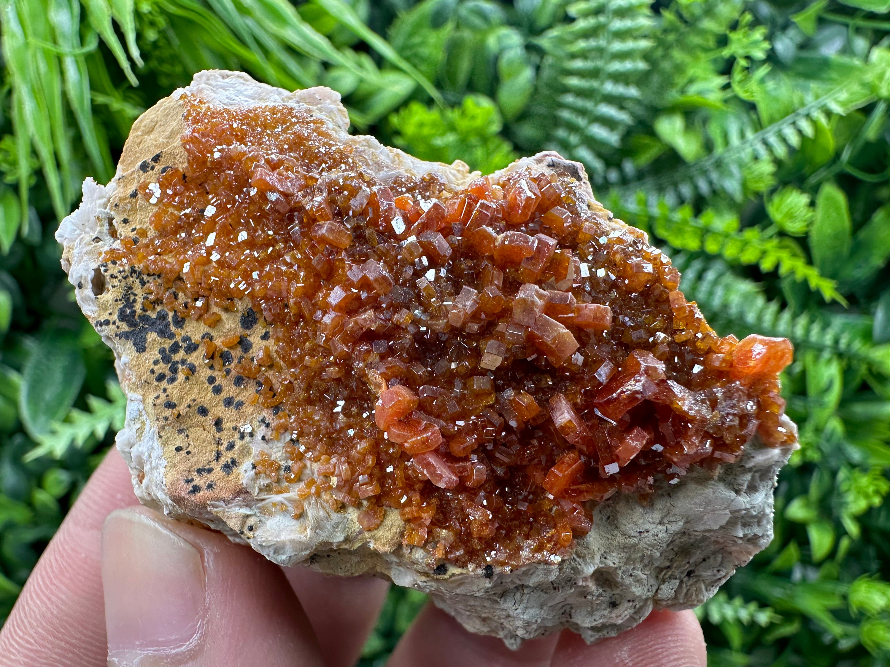 Red Vanadinite Crystal Cluster on Matrix, Morocco Mineral Specimen