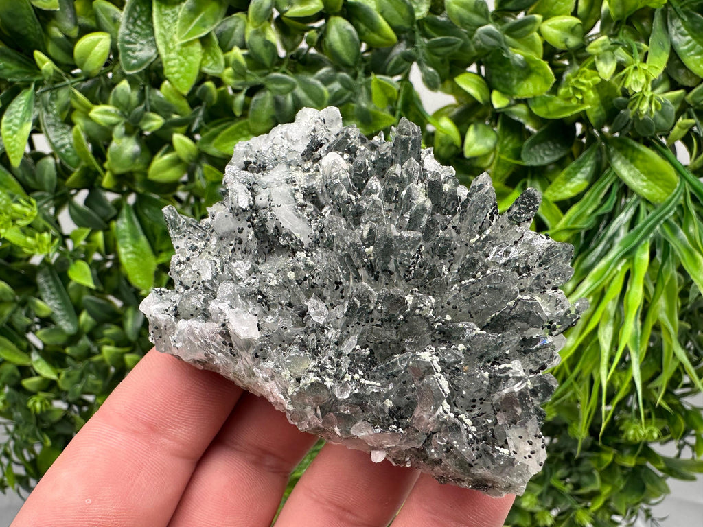 Chlorite Quartz Crystal Cluster - Borieva Mine, Bulgaria