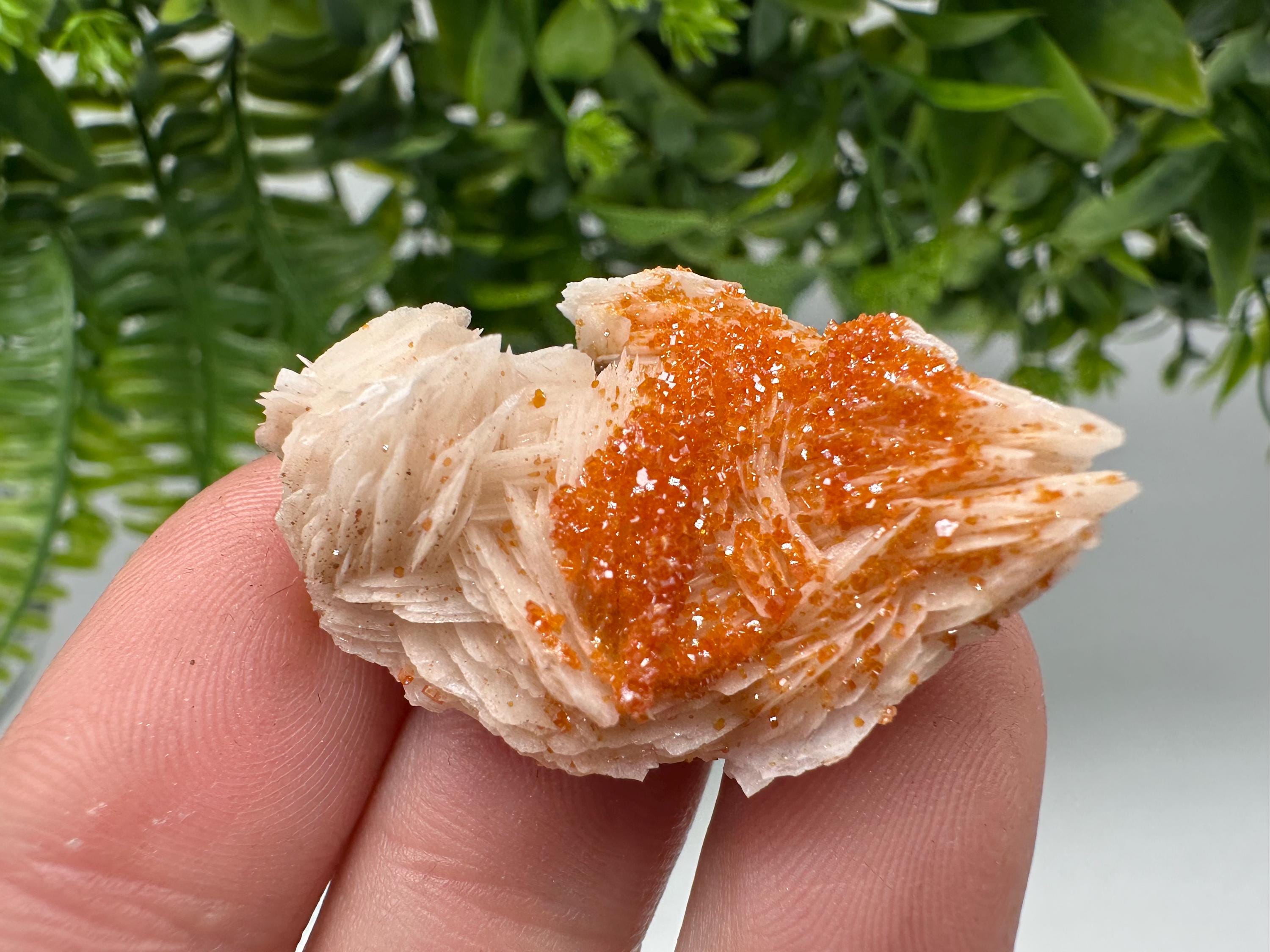 Red Vanadinite on Barite, Moroccan Crystal Specimen