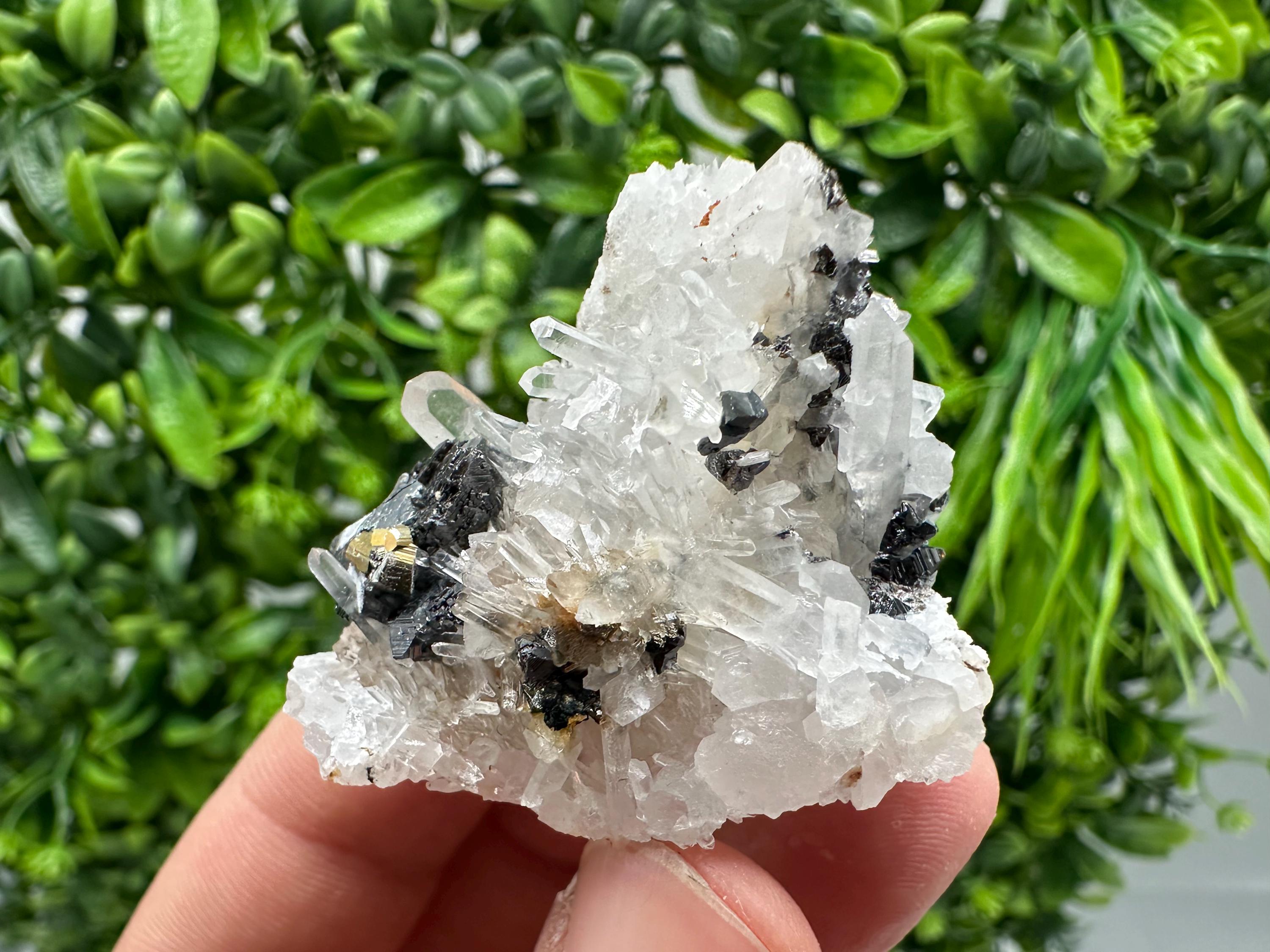 Wonderful Sphalerite Chalcopyrite on  Quartz whit Hematite feom 9 th September mine,Bulgaria,natural,collection mineral specimen,gift