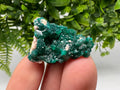 Stunning Green Dioptase from Sanda Hills,Mindouli,Pool Department,Mindouli District,Congo,green Dioptase,Dioptas Crystal,Dioptase collecting