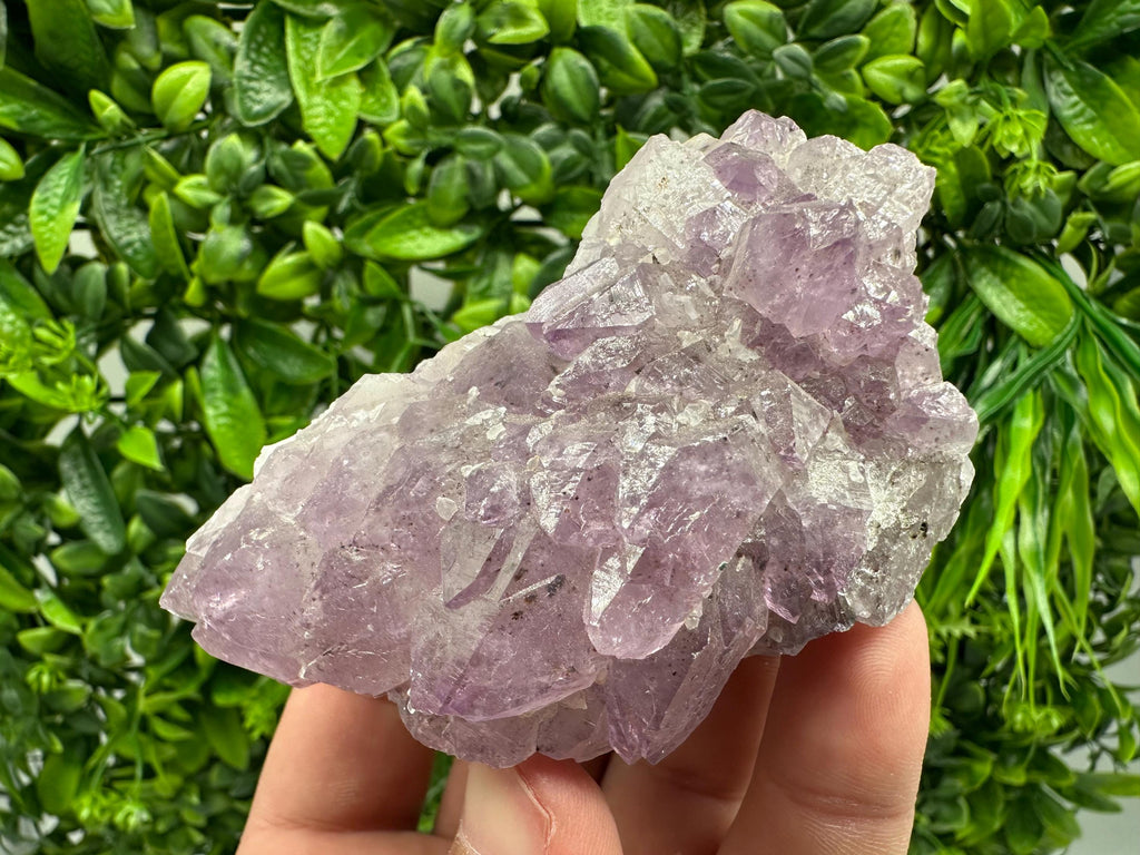 Brazilian Amethyst Cluster, Purple Quartz Crystal Specimen