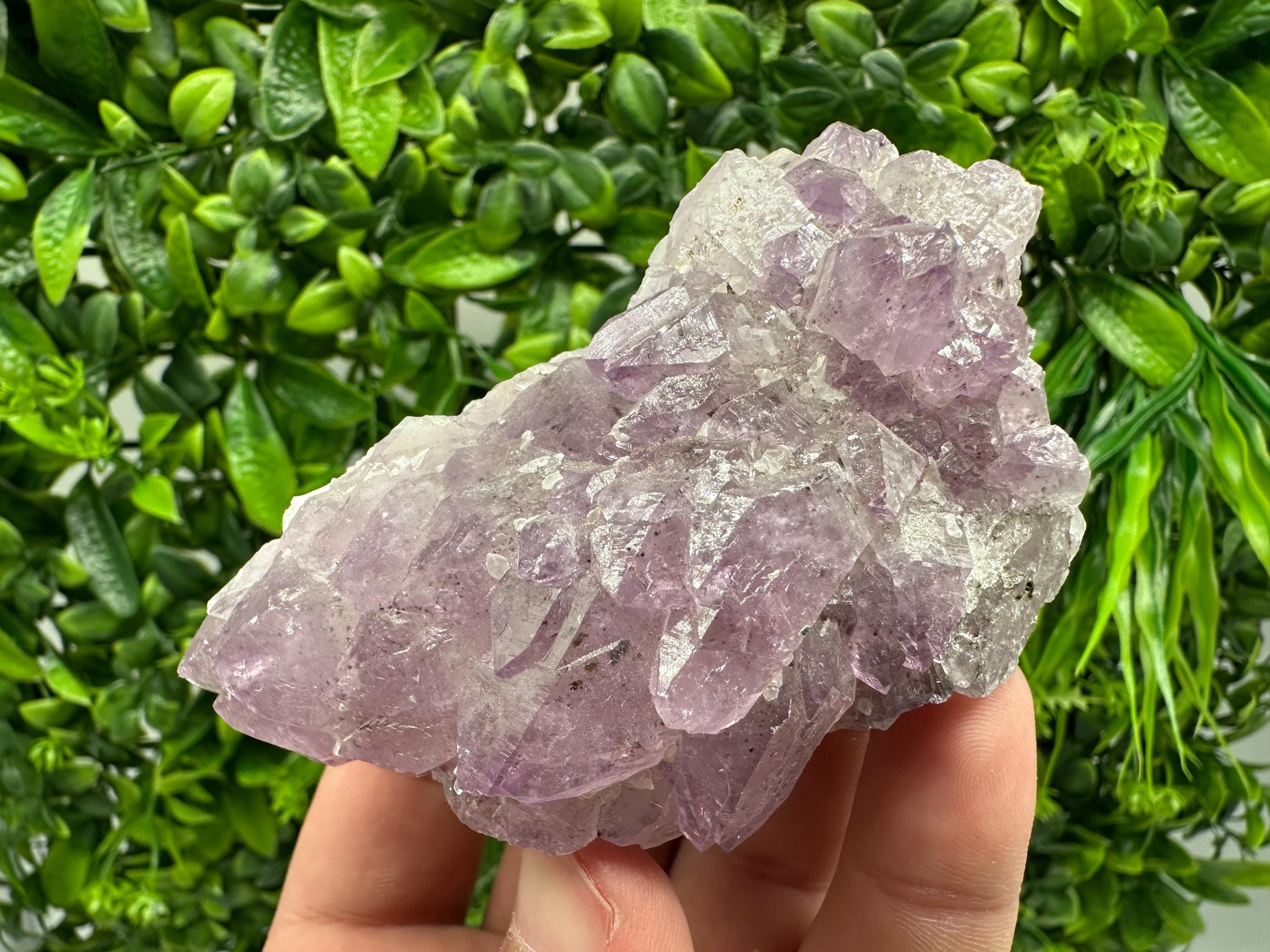 Brazilian Amethyst Cluster, Purple Quartz Crystal Specimen