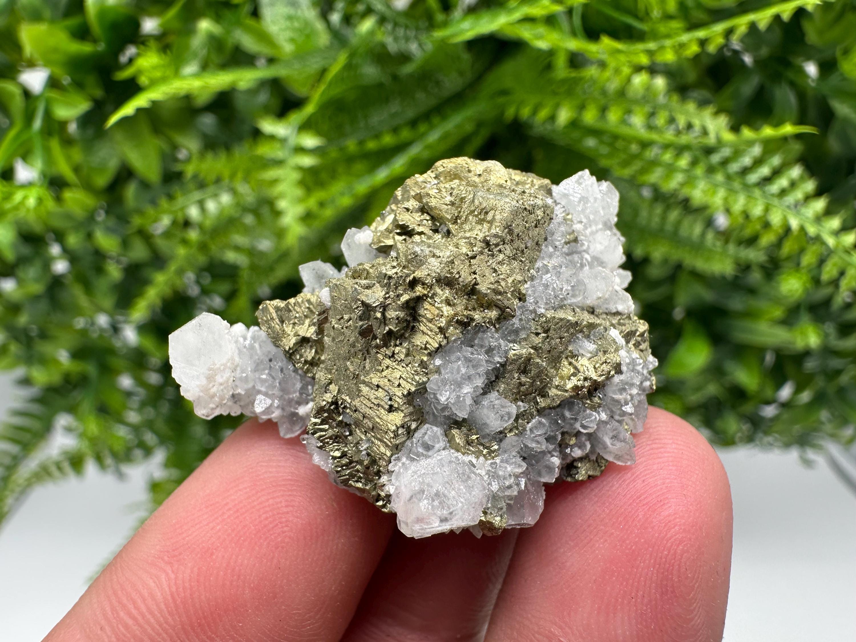 Chalcopyrite on Quartz Specimen, Krushev dol Mine, Bulgaria