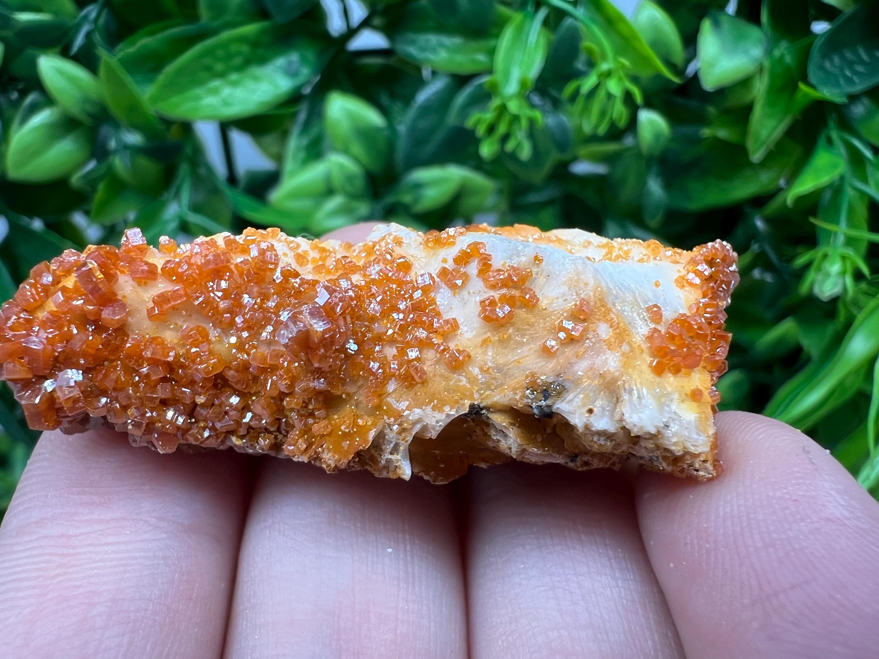 Red Vanadinite on Barite from Marocco,crystal minerals Speciment cluster Vanadinite crystal Vanadinite Geology Vanadinite cluster minerals