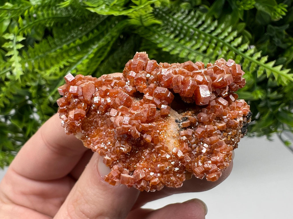 Red Vanadinite Crystal Cluster on Barite Matrix, Morocco Mineral Specimen