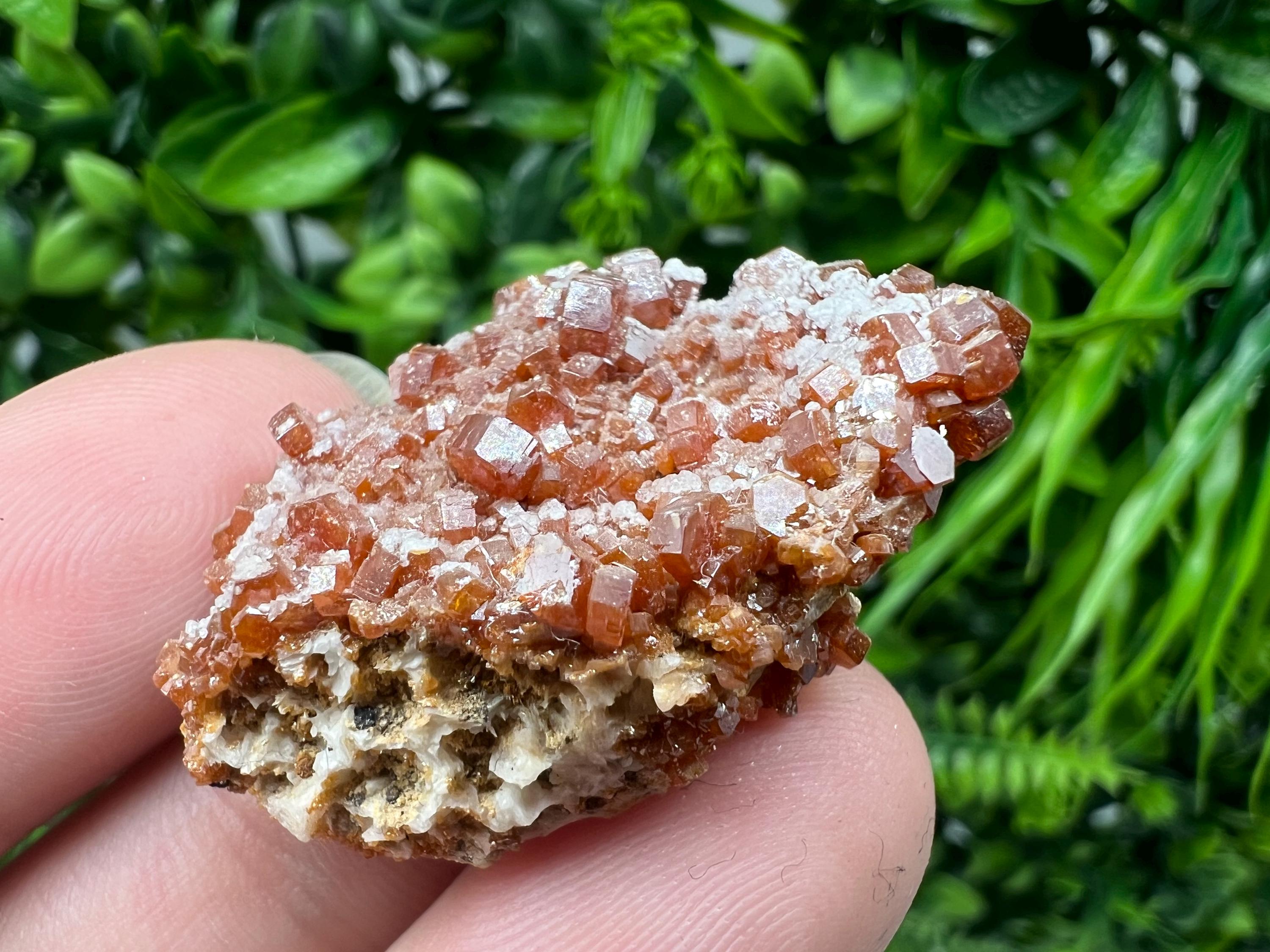 Red Vanadinite on Barite from Marocco,crystal minerals Speciment cluster Vanadinite crystal Vanadinite Geology Vanadinite cluster minerals