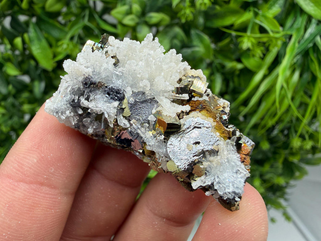 Pyrite Sphalerite Quartz  Mineral Specimen, Krushev dol Mine