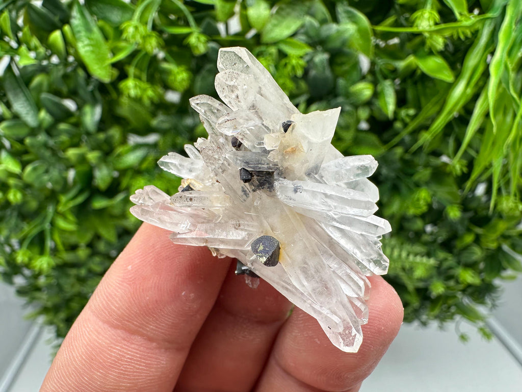 Wonderful Sphalerite Chalcopyrite on  Quartz whit Hematite feom 9 th September mine,Bulgaria,natural,collection mineral specimen,gift