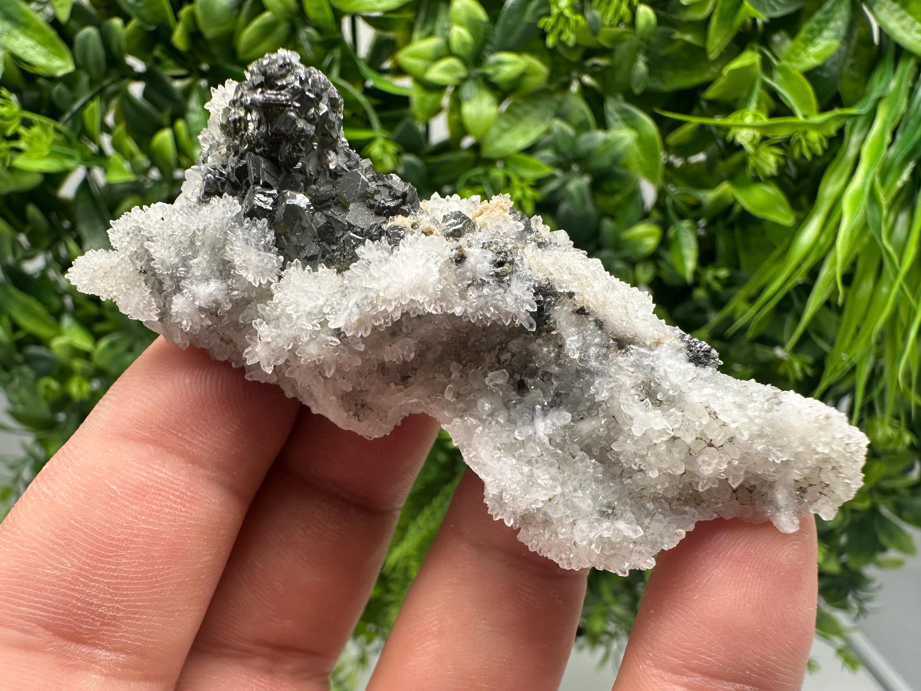 Sphalerite Cleiophane on Quartz, Krushev Dol Mine, Bulgaria