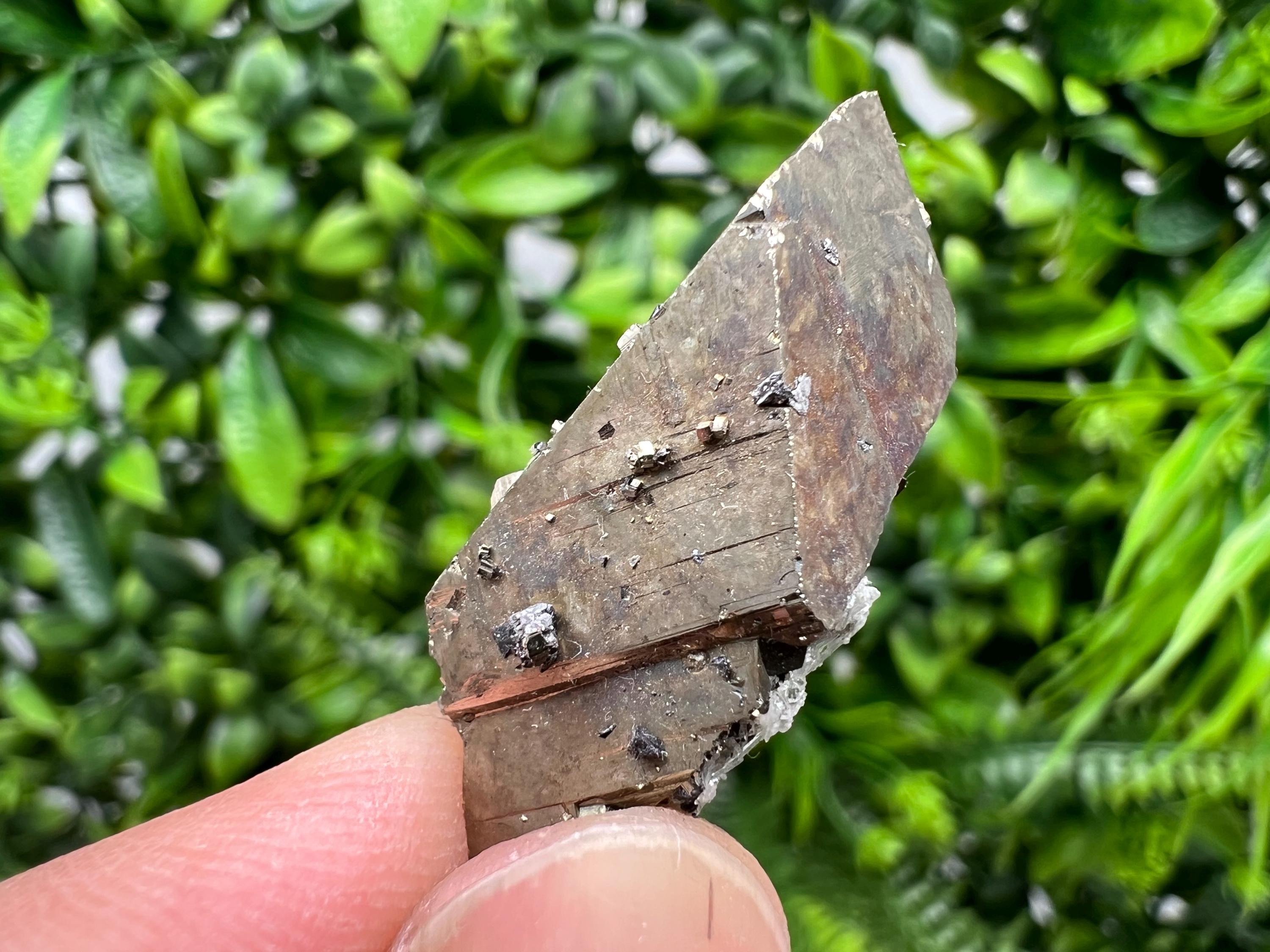 Mini Rainbow Pyrite Cluster: Borieva Mine, Bulgaria