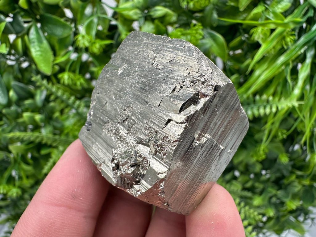 Natural Pyrite Crystal Mineral Specimen, Borieva Bulgaria