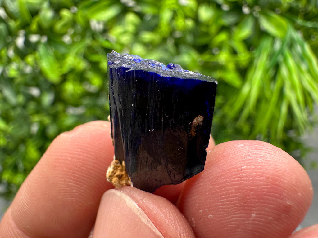 Crystallized Azurite-Kerrouchen,Morocco-Blue Azurite Specimen-High Quality Blue Azurite-Azurite Mineral Specimen, gemmy,lustrous of Azurite