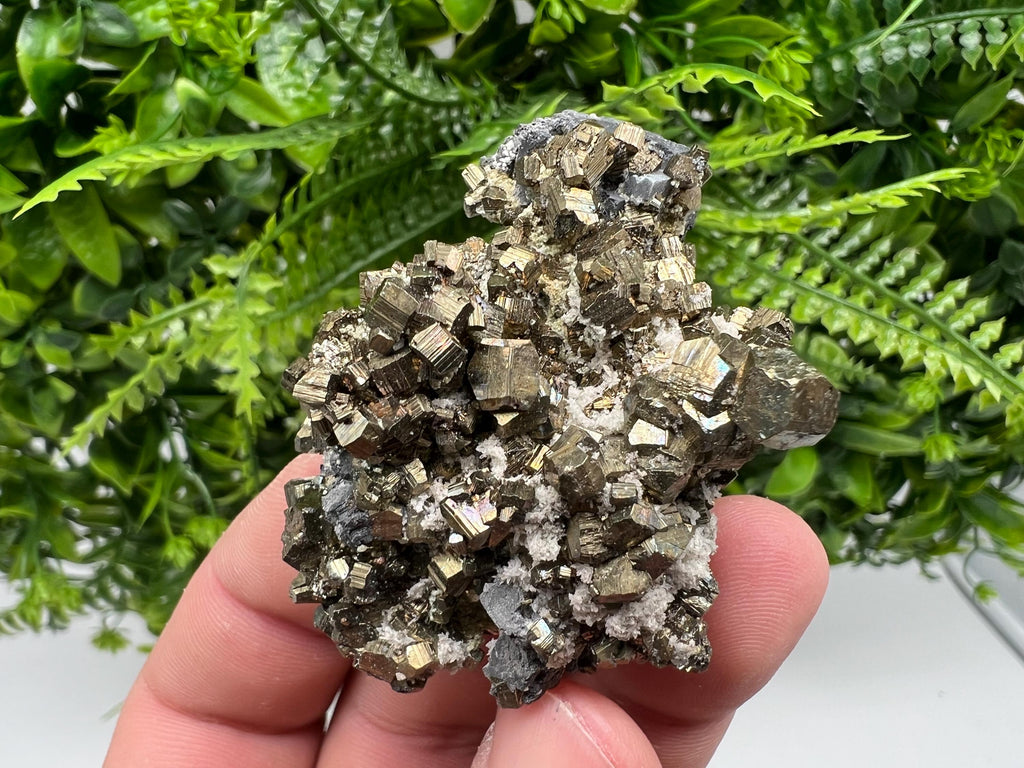 Rare Pyrite Cluster: Golden Rainbow Crystallization, Borieva Mine