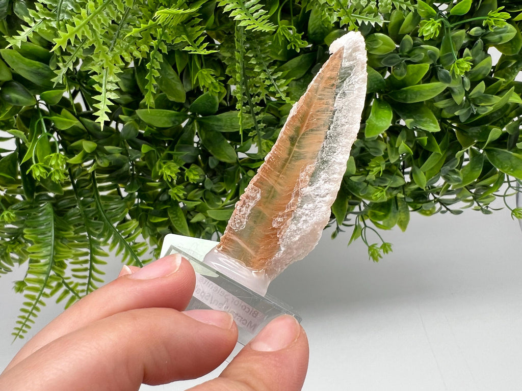 Golden Phantom Selenite Slab, Utah Raw Fishtail Selenite