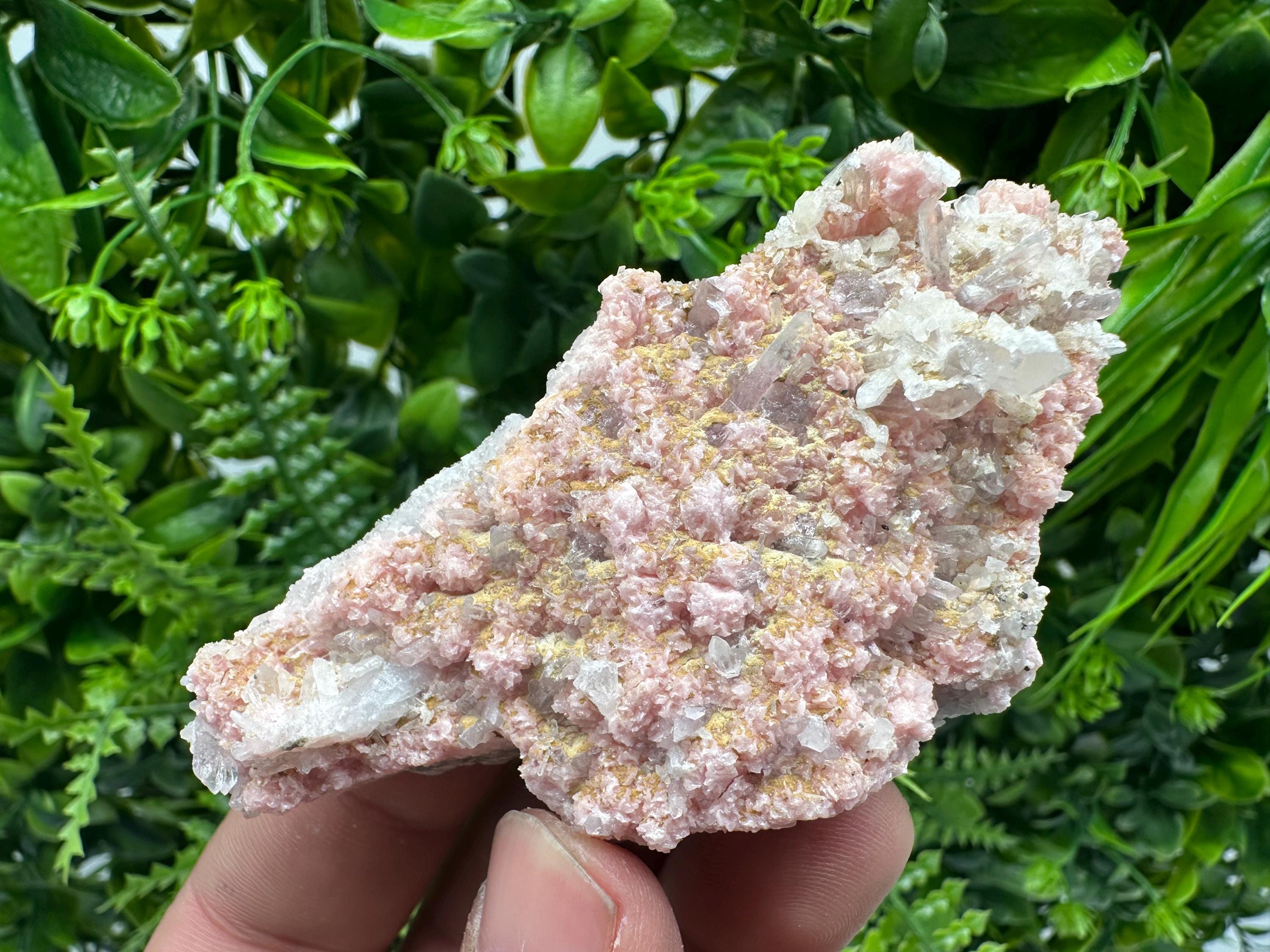 Rhodochrosite on Quartz: Pink Crystal Home Decor, Bulgaria Mineral Souvenir