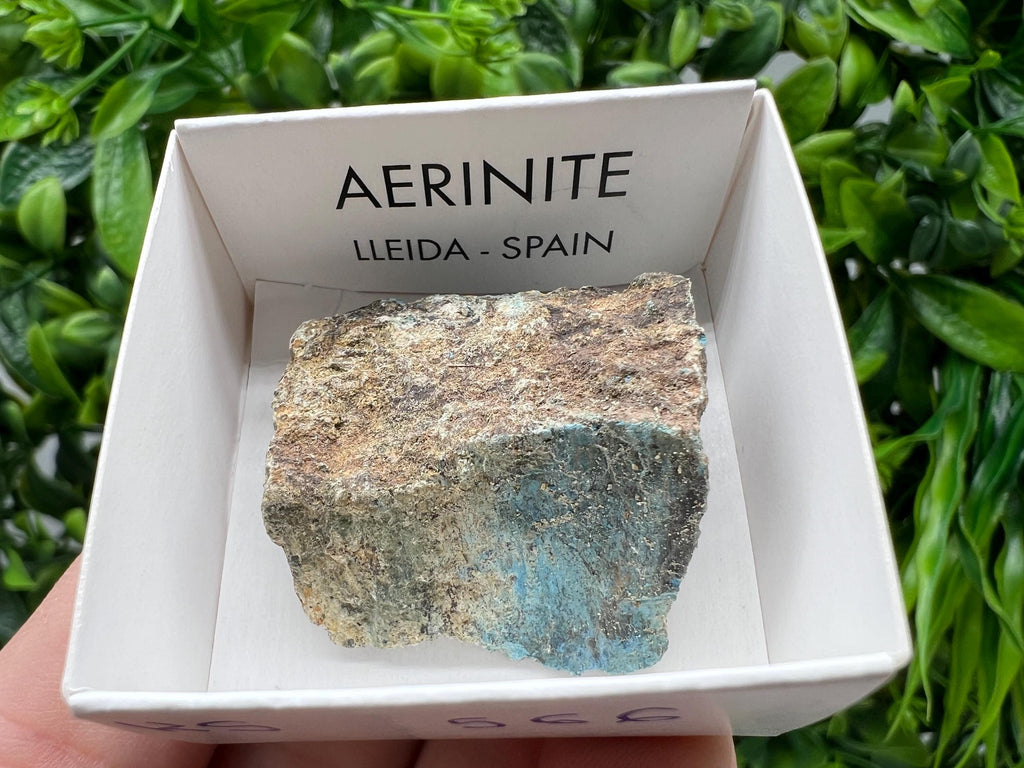 Rare Raw Aerinite Mineral Specimen: Collection Crystal from Lleida, Spain (3/2.5 CM)