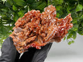 Red Vanadinite on Barite from Marocco,crystal minerals Speciment cluster Vanadinite crystal Vanadinite Geology Vanadinite cluster minerals