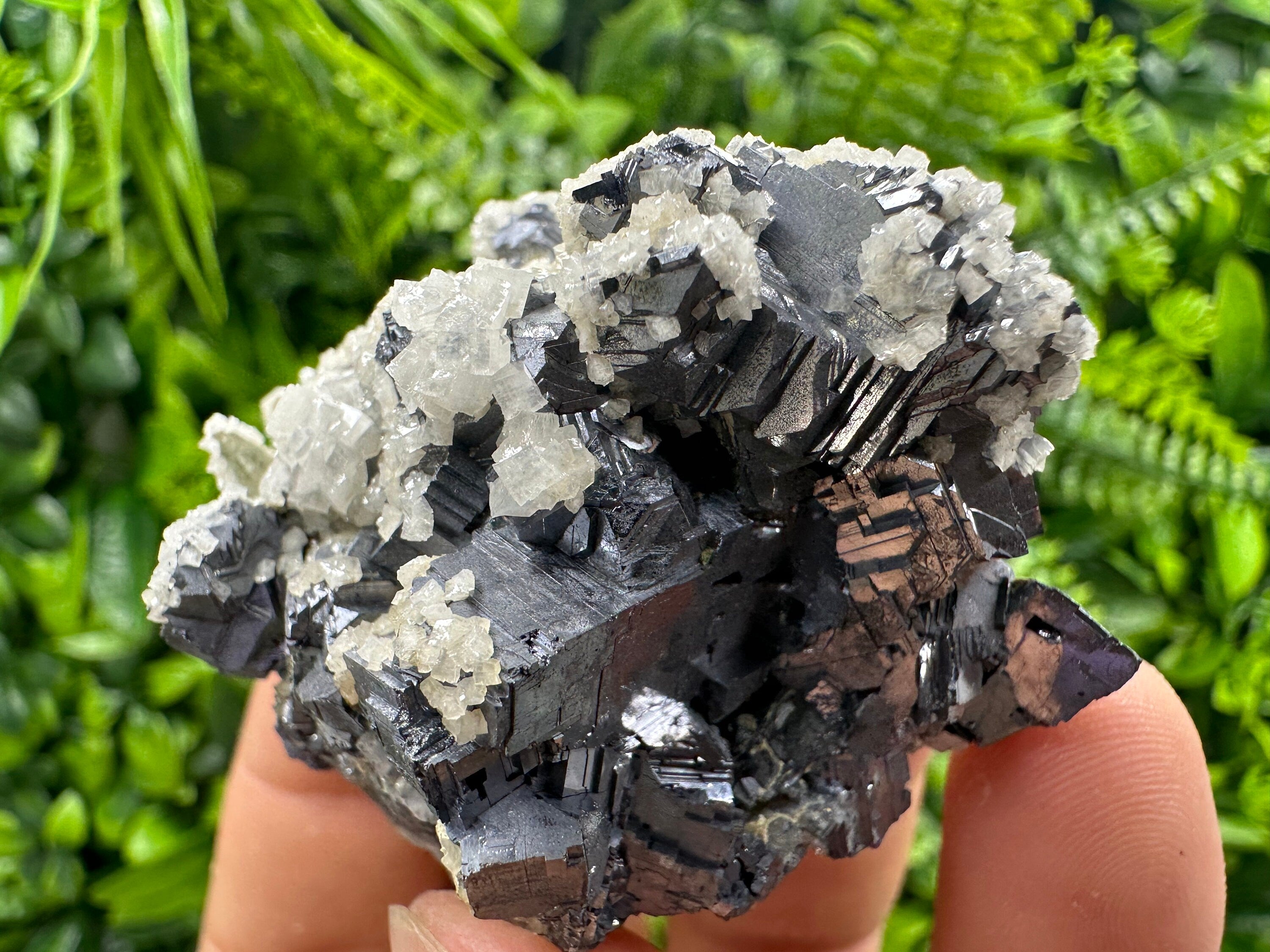 Rare Calcite on Galena: Borieva Mine, Madan, Bulgaria