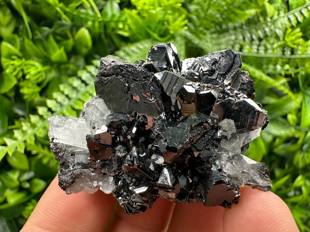 Borieva Sphalerite on Quartz: Rare Mineral Cluster