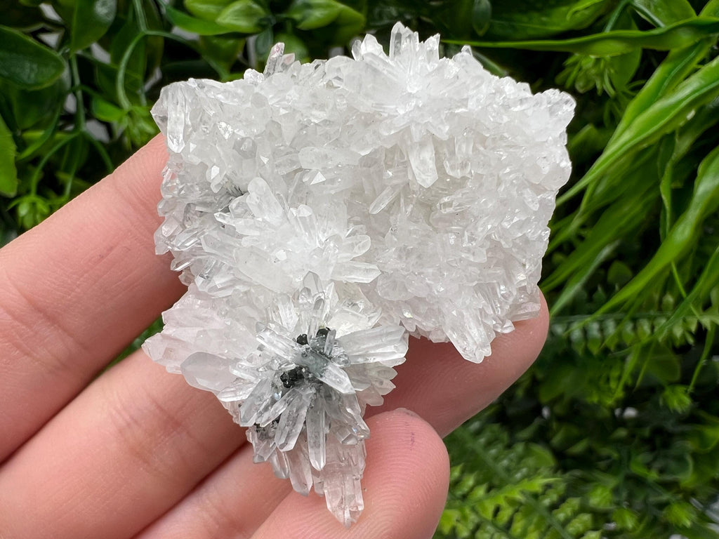 Stunning Transparent Quartz,from Borieva mine,natural collection mineral specimen rare crystal,home decor crystal,quartz cluster,Quartz,gift
