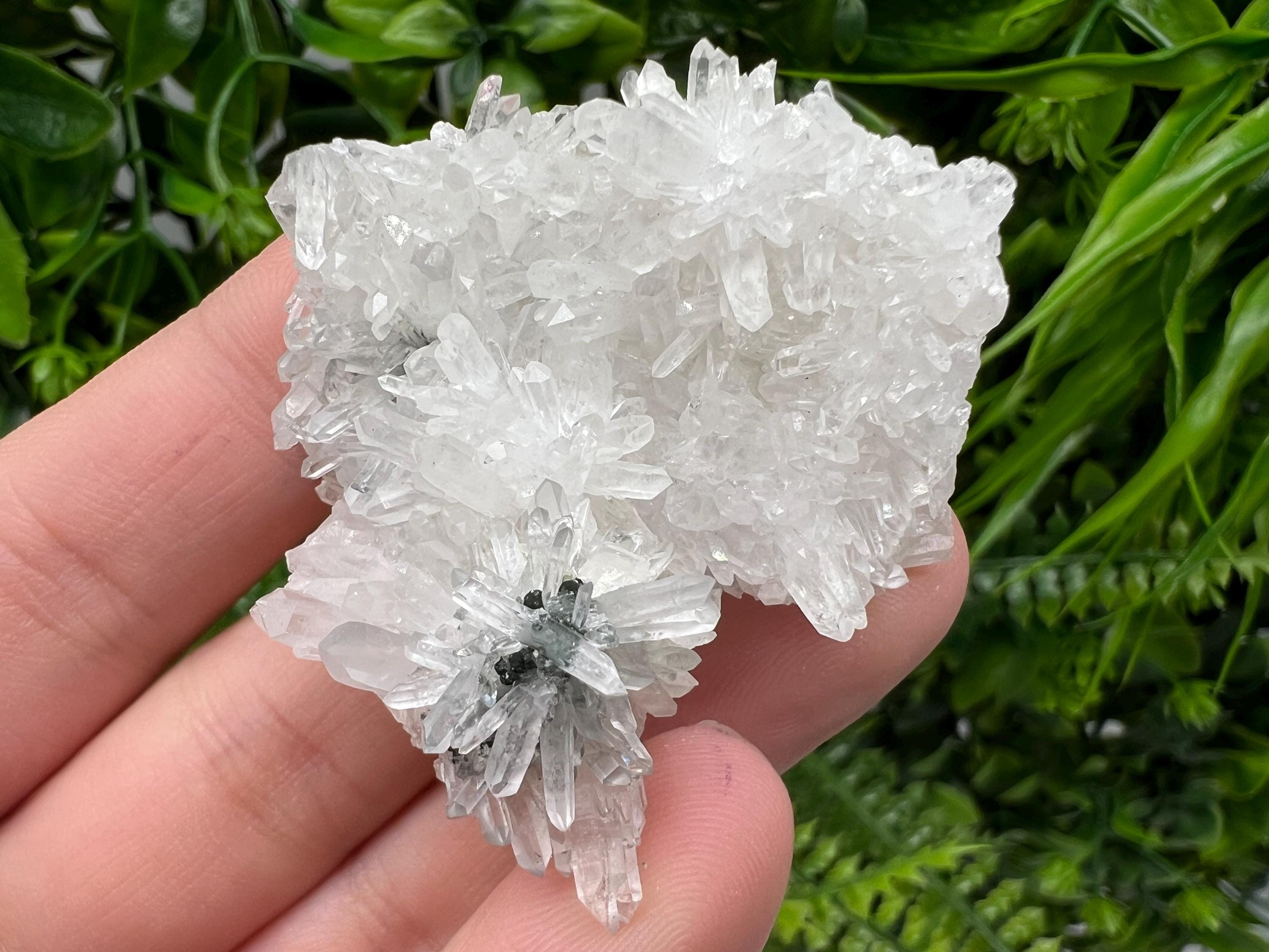 Stunning Transparent Quartz,from Borieva mine,natural collection mineral specimen rare crystal,home decor crystal,quartz cluster,Quartz,gift