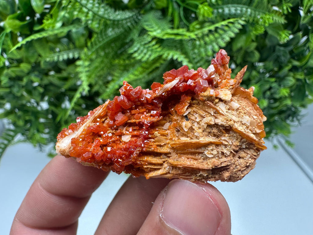 Red Vanadinite on Barite, Morocco Crystal Cluster