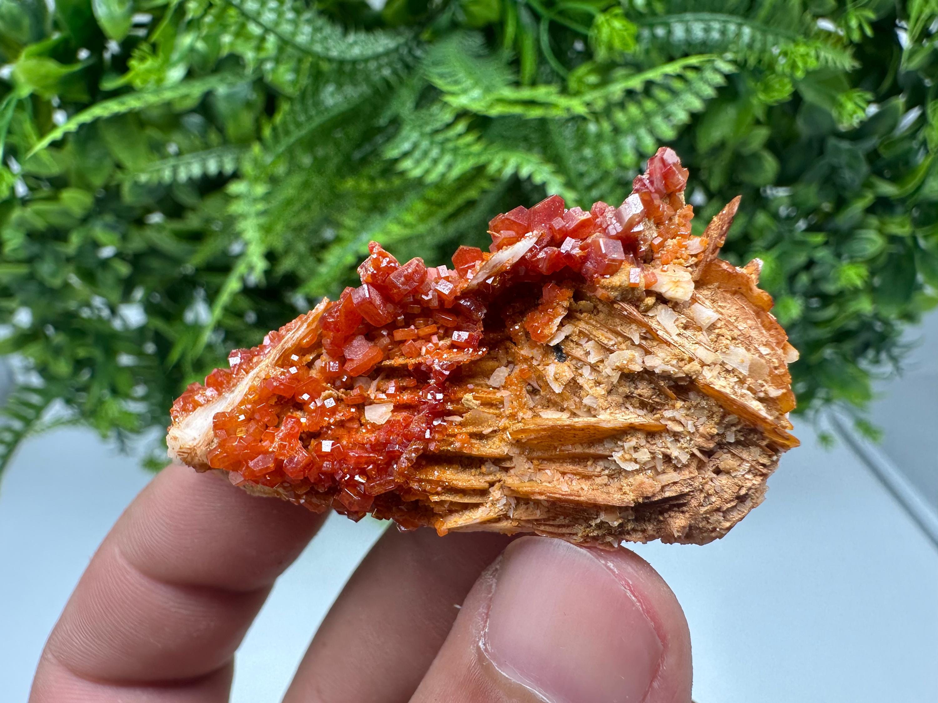 Red Vanadinite on Barite, Morocco Crystal Cluster