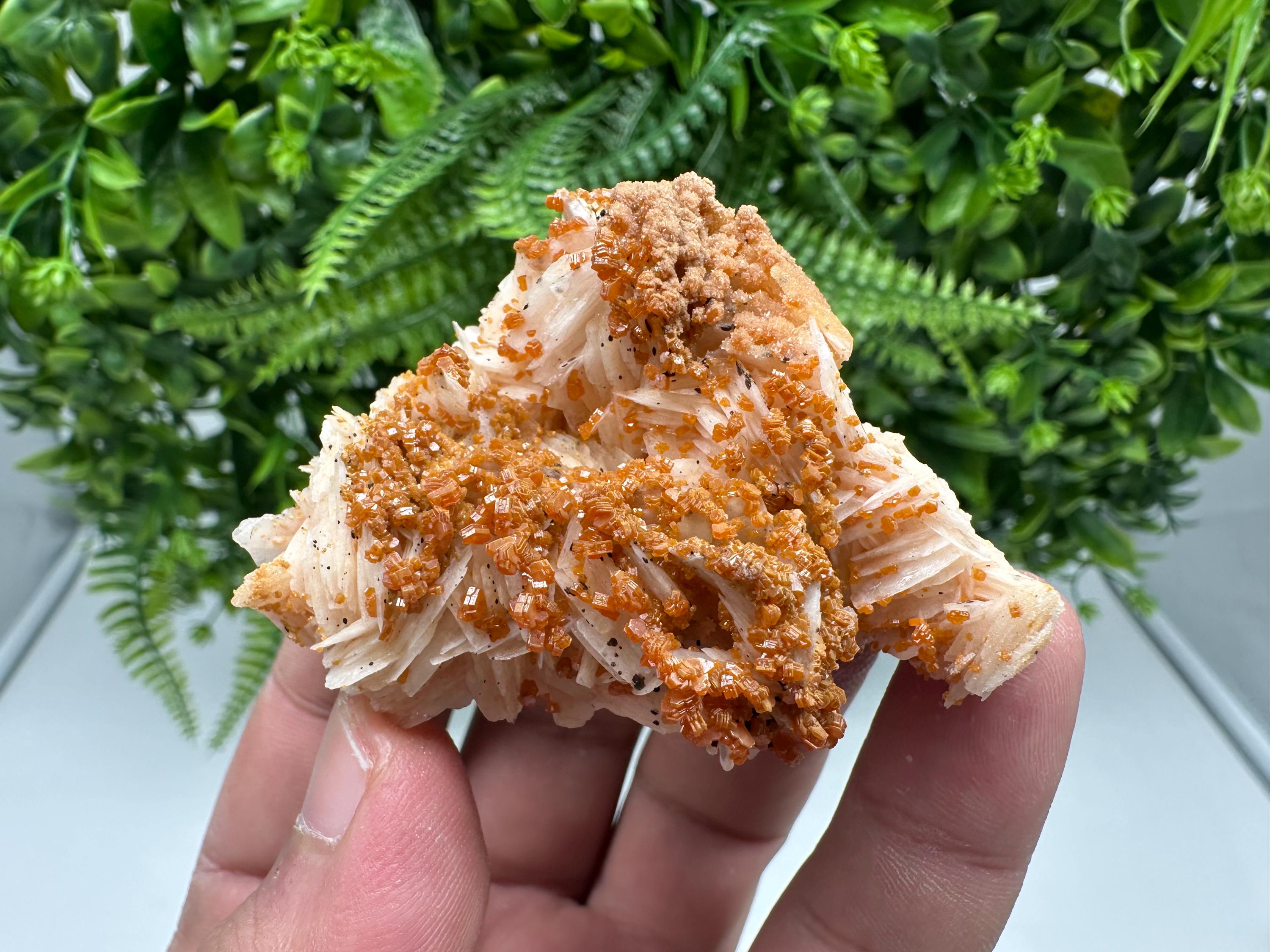 Red Vanadinite on Barite from Marocco,crystal minerals Speciment cluster Vanadinite crystal Vanadinite Geology Vanadinite cluster minerals