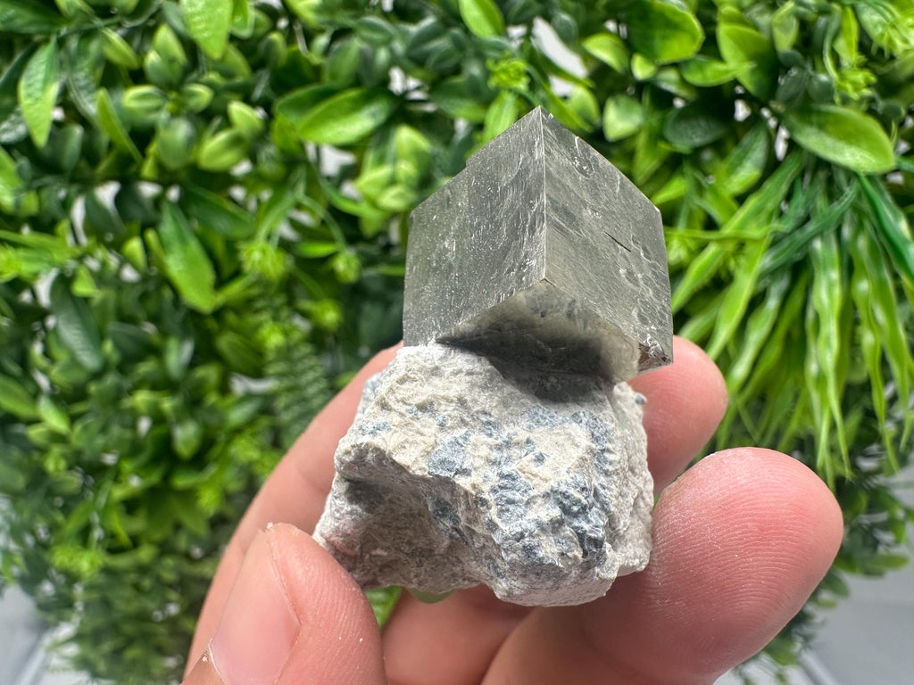 Large Pyrite cubes on Matrix,Gold,Cube PYRITE, Navajun, La Rioja,SPAIN,natural Pyrite shiny Pyrite home decor stone gift minerals,collectibl