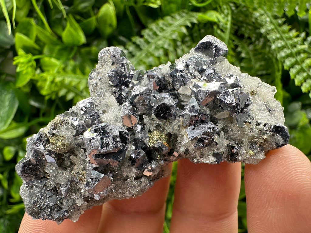 Galena Chalcopyrite on Quartz: Crystal Home Decor, Borieva Mine