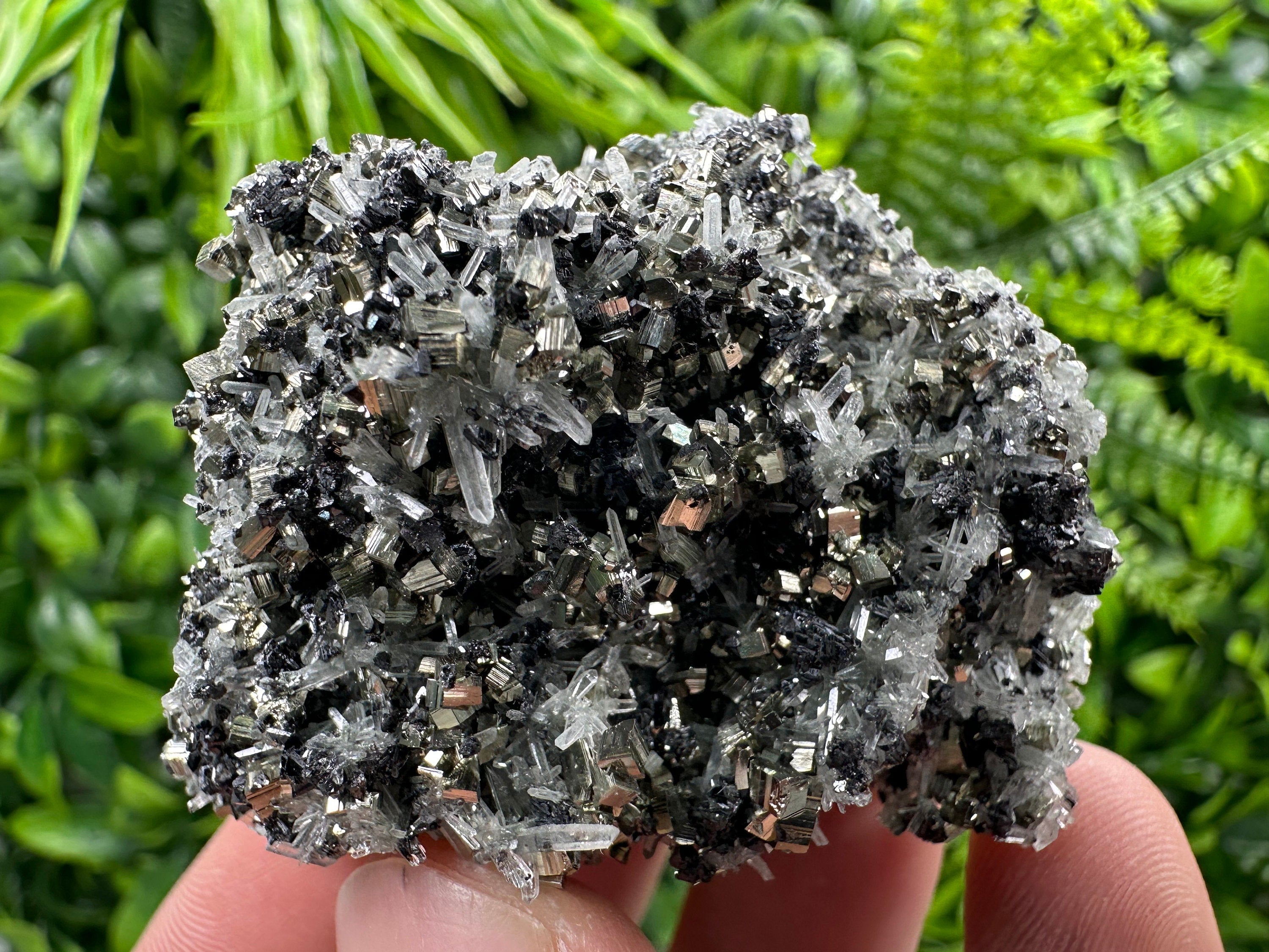 Pyrite on Quartz Needles, Borieva Mine Bulgaria, Mineral Specimen