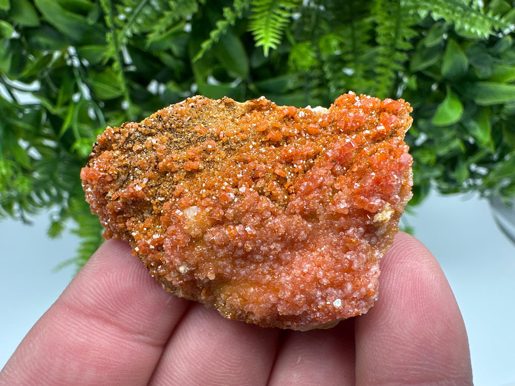 Red Vanadinite on Barite from Marocco,crystal minerals Speciment cluster Vanadinite crystal Vanadinite Geology Vanadinite cluster minerals
