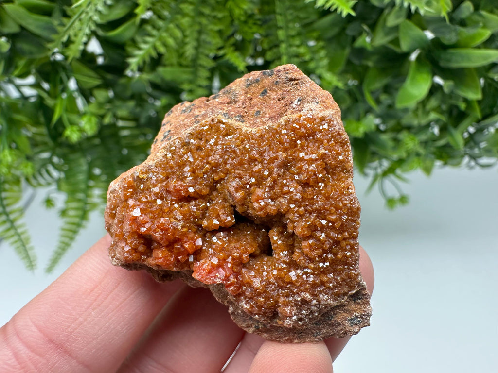 Red Vanadinite on Matrix from Marocco,crystal minerals Speciment cluster Vanadinite crystal Vanadinite Geology Vanadinite cluster minerals