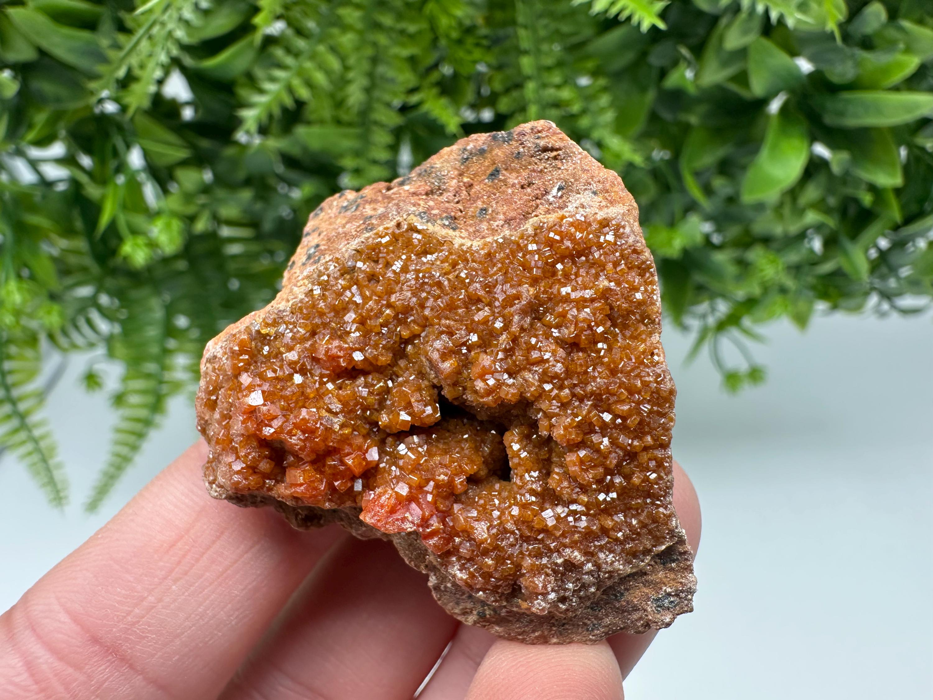 Red Vanadinite on Matrix from Marocco,crystal minerals Speciment cluster Vanadinite crystal Vanadinite Geology Vanadinite cluster minerals