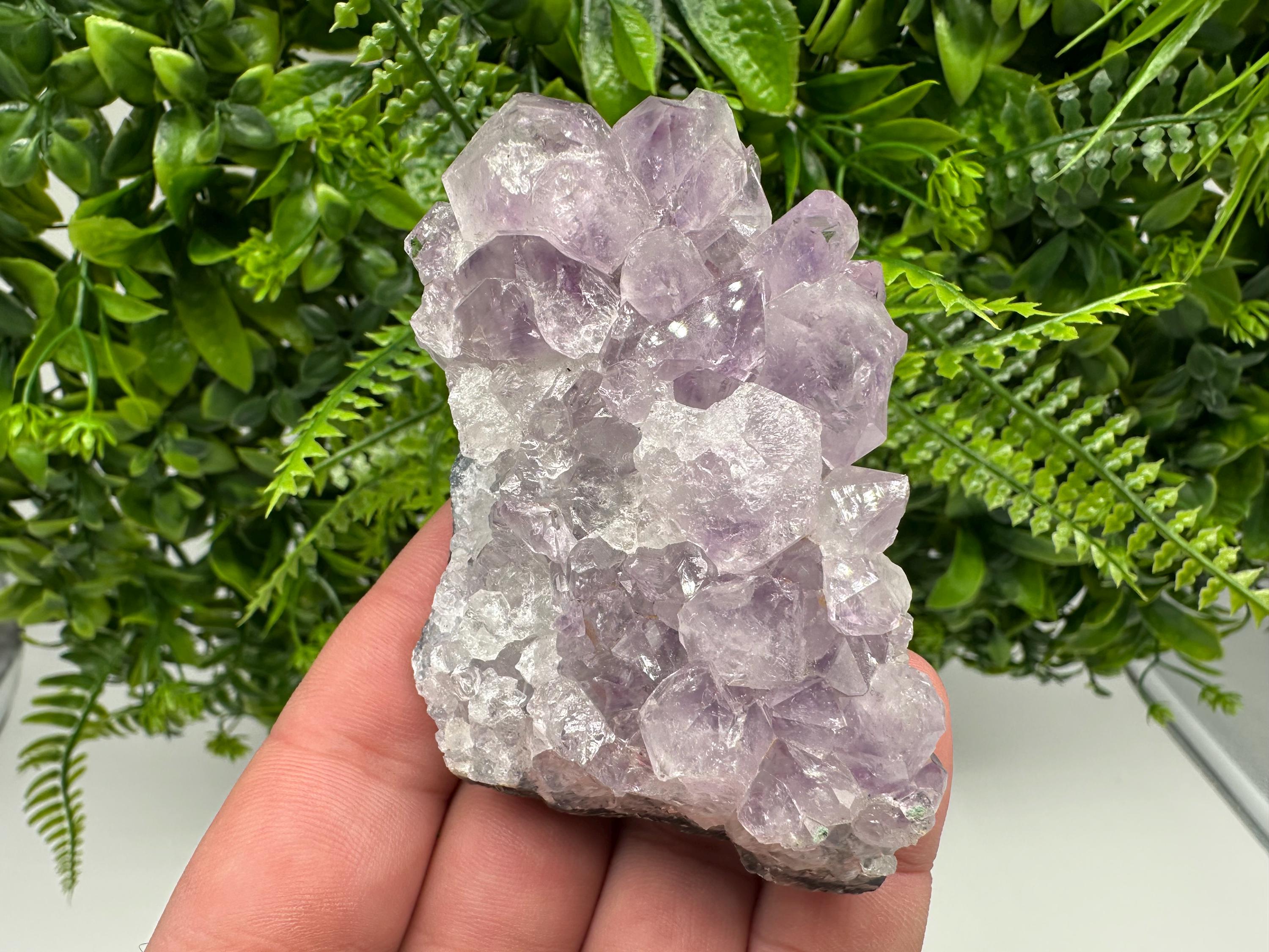 Brazilian Amethyst Cluster, Purple Quartz Specimen