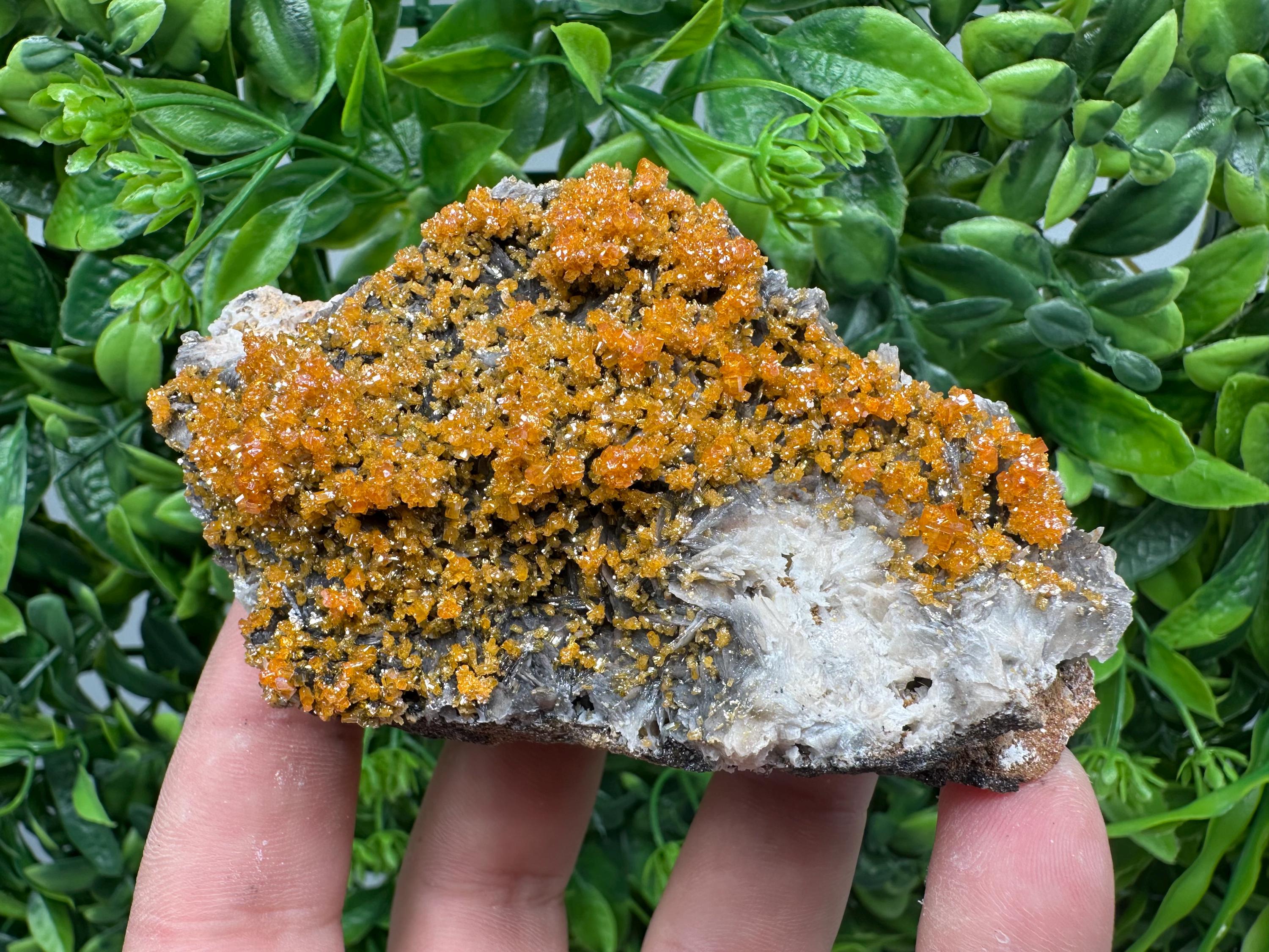 Rare Red Vanadinite Crystal Cluster on Barite with Goethite, Morocco