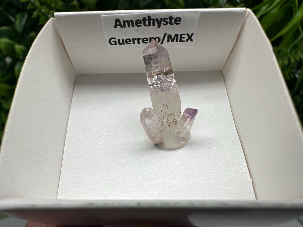 Mexican Amethyst Mineral Specimen: Crystal Collector's Piece (20mm)