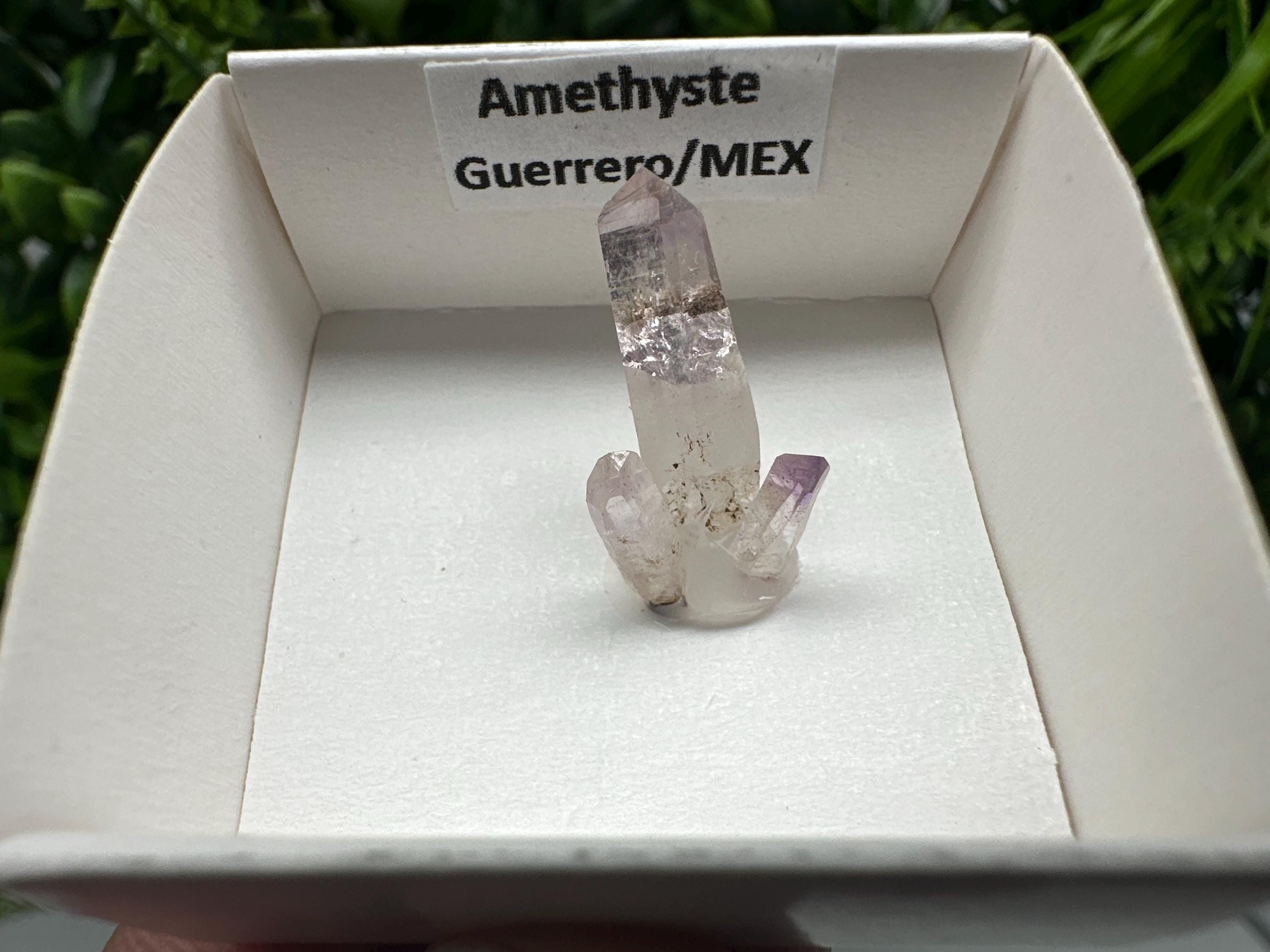 Mexican Amethyst Mineral Specimen: Crystal Collector's Piece (20mm)