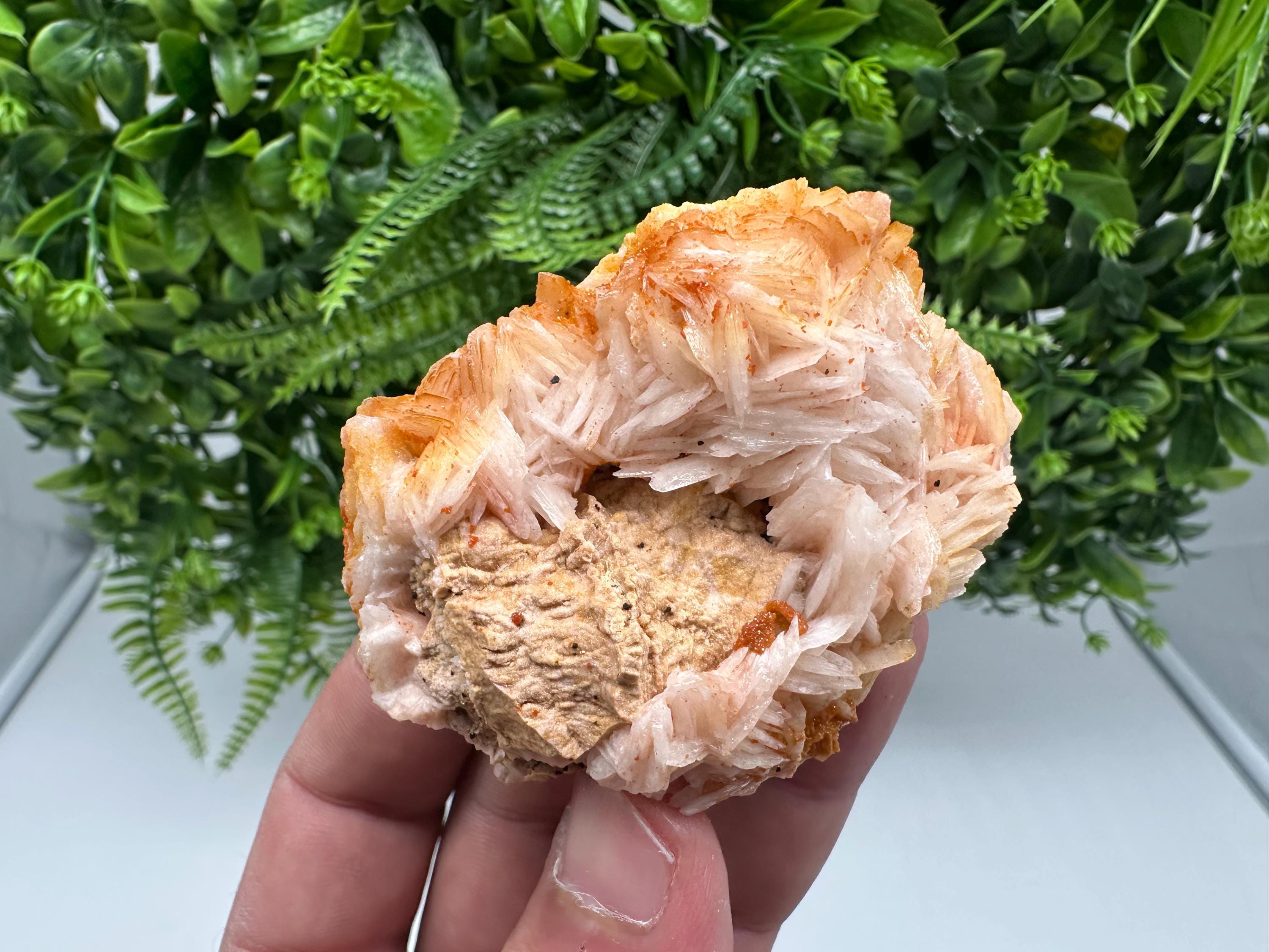 Red Vanadinite on Barite from Marocco,crystal minerals Speciment cluster Vanadinite crystal Vanadinite Geology Vanadinite cluster minerals