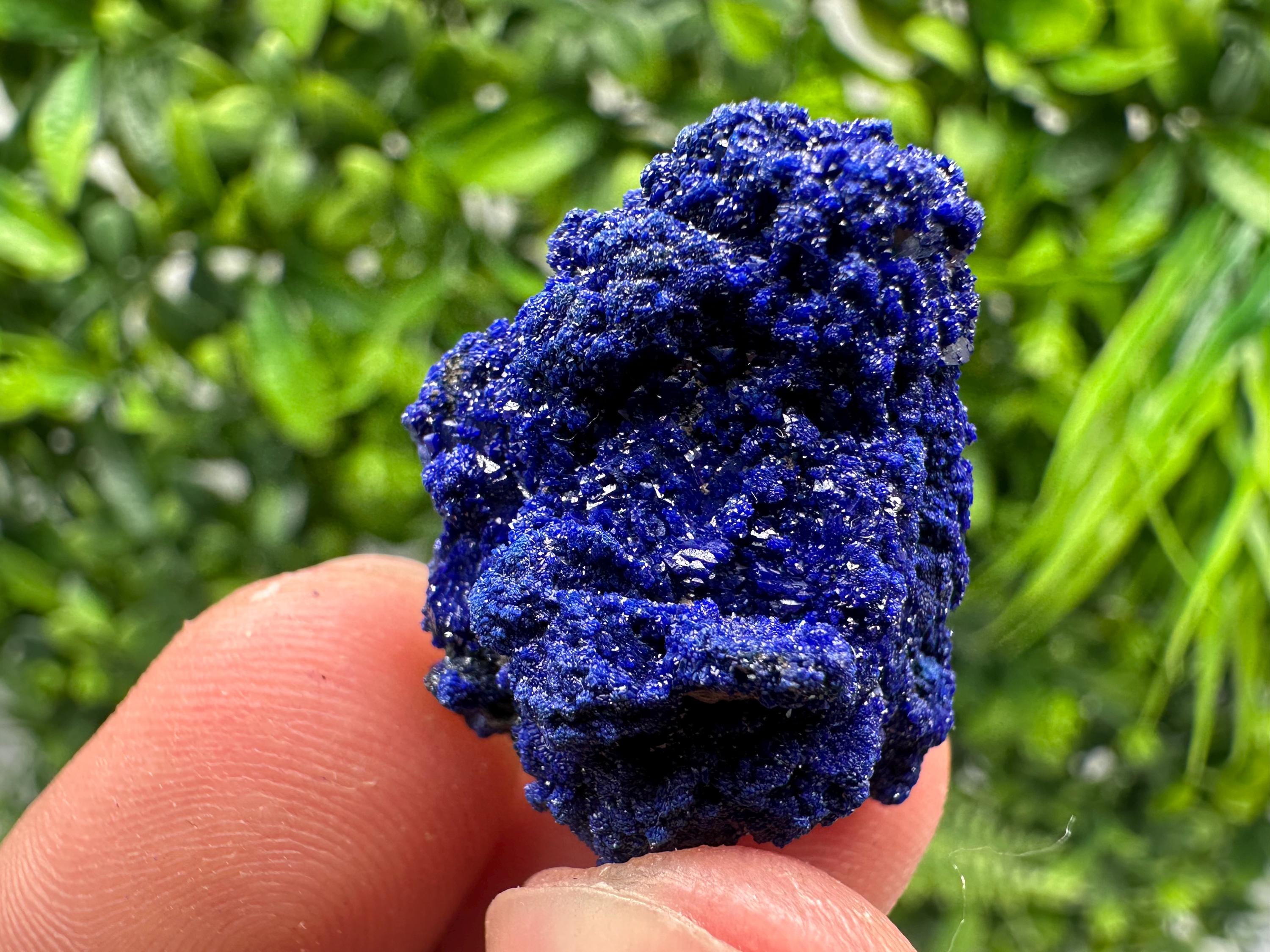 Crystallized Azurite-Kerrouchen,Morocco-Blue Azurite Specimen-High Quality Blue Azurite-Azurite Mineral Specimen, gemmy,lustrous of Azurite