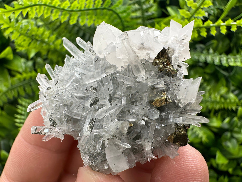 Chalcopyrite & Calcite on Quartz: Borieva Mine, Bulgaria
