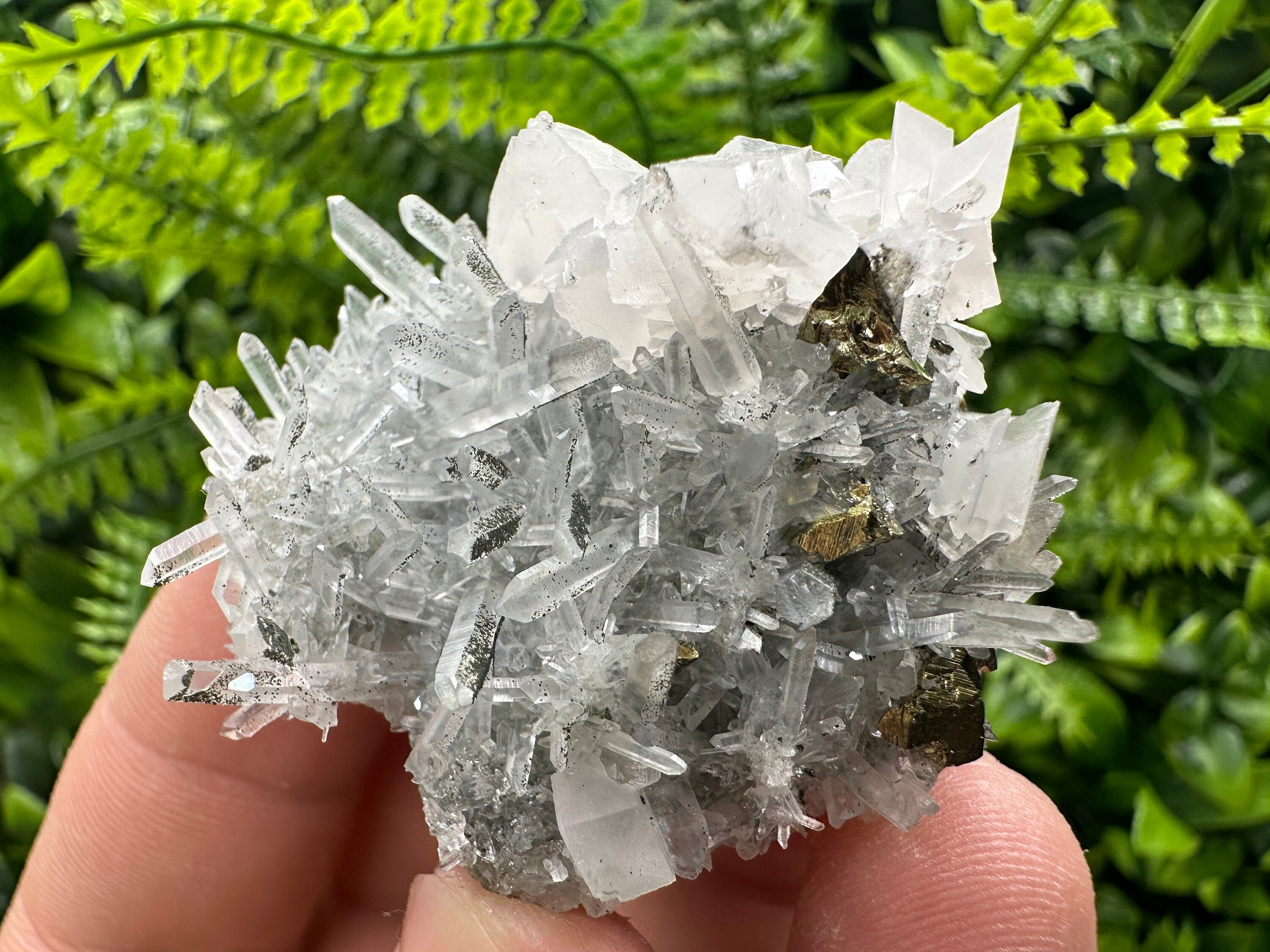 Chalcopyrite & Calcite on Quartz: Borieva Mine, Bulgaria