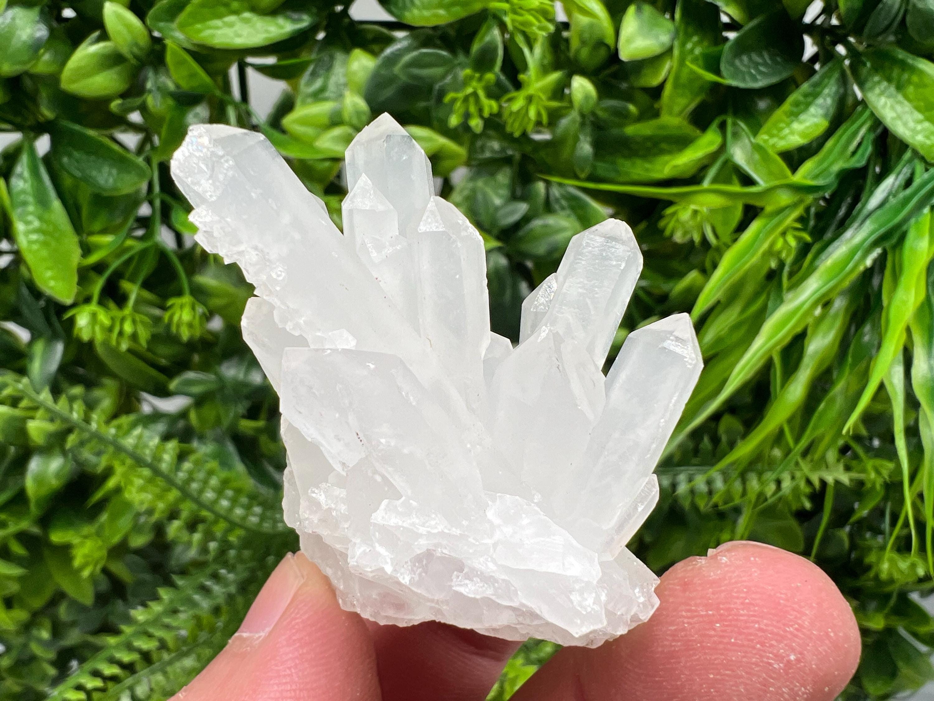 Transparent Quartz Cluster, Djurcovo Mine, Bulgaria, Mineral Specimen