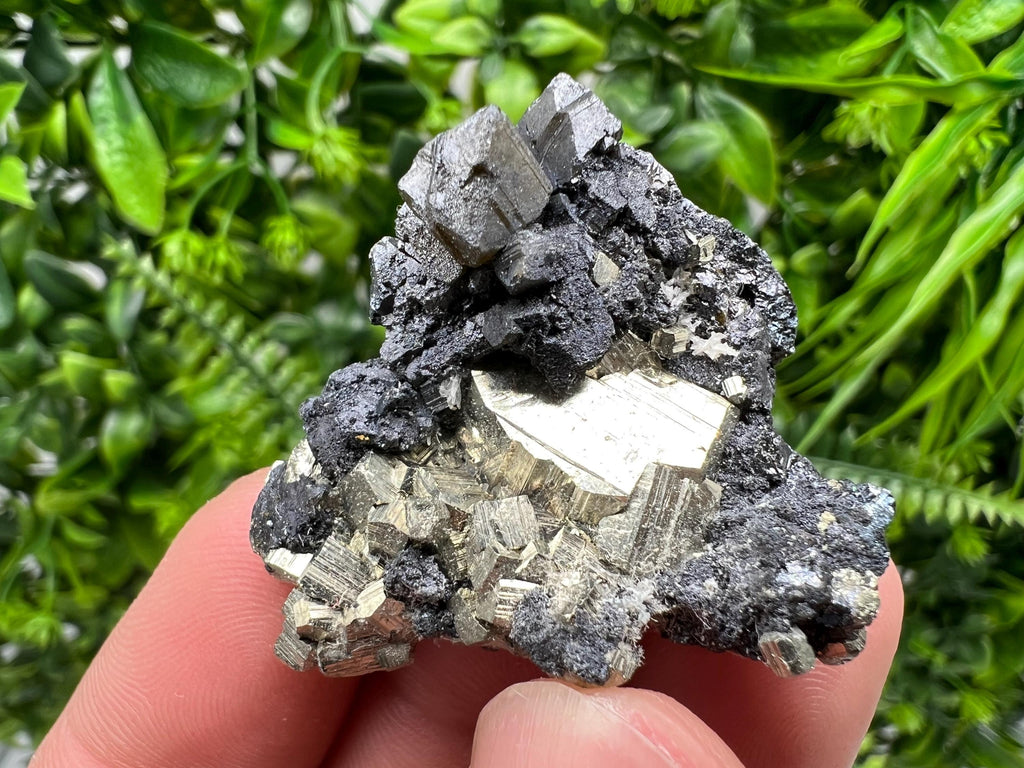 Golden Pyrite,Sphalerite from 9th September mine,Madan,Bulgaria,natural,collectible mineral specimen,home decor crystal,Pyrite cluster,