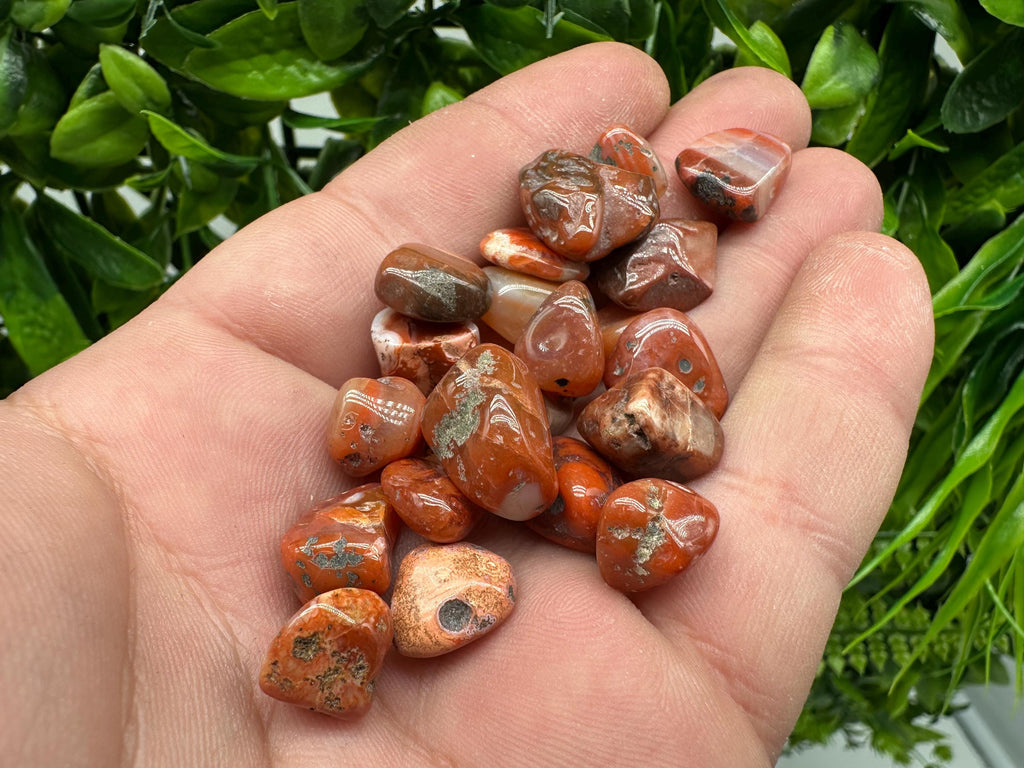 Red Agate Chips: Mini Gemstone Pebbles, Chakra Healing Stones