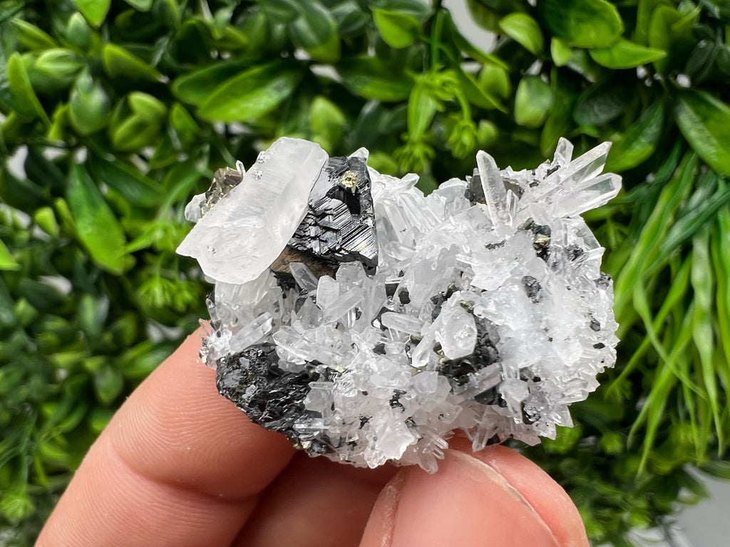 Wonderful Sphalerite Chalcopyrite on Green Quartz whit Hematite feom 9 th September mine,Bulgaria,natural,collection mineral specimen,gift