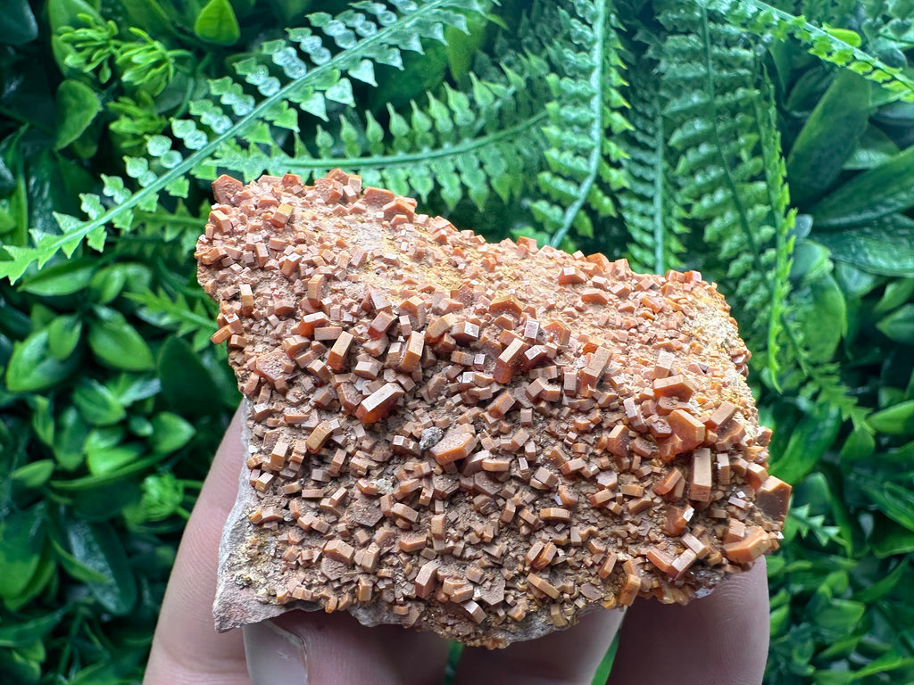 Red Vanadinite Crystal Cluster on Matrix, Morocco Specimen