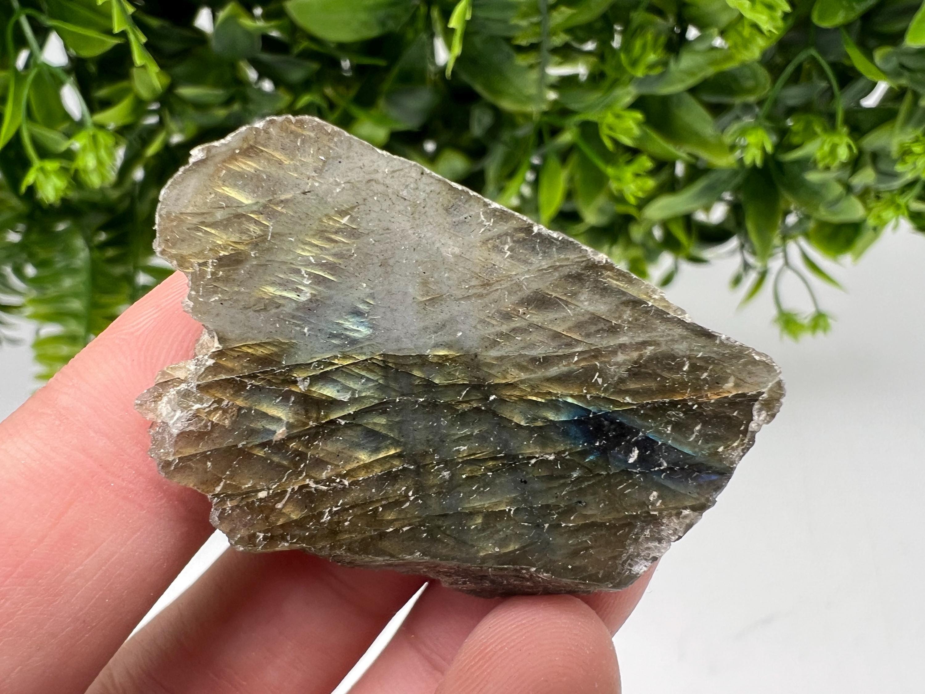 Polished Labradorite Slab: Multifire Crystal Decor - 24 Grams