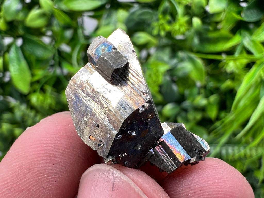 Rare Crystallization Pyrite, Borieva Mine, Bulgaria, Rainbow Golden Pyrite